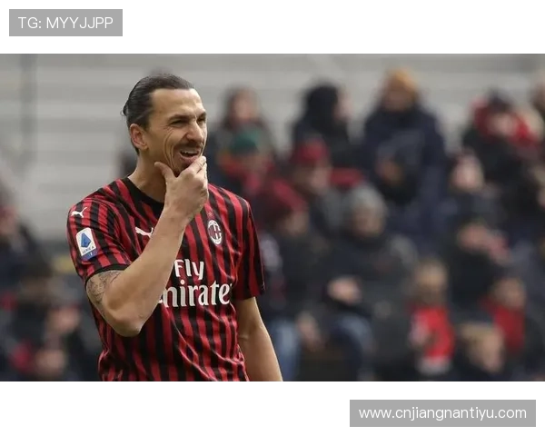 米兰体育备用平台在国内体育博彩市场的影响与前景展望